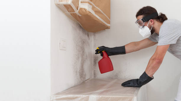Professional Mold Remediation technician working in Sharon, MA