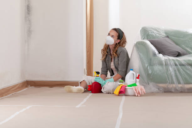 Reliable Mold Remediation contractor in Sharon, MA by WQB Mold Removal